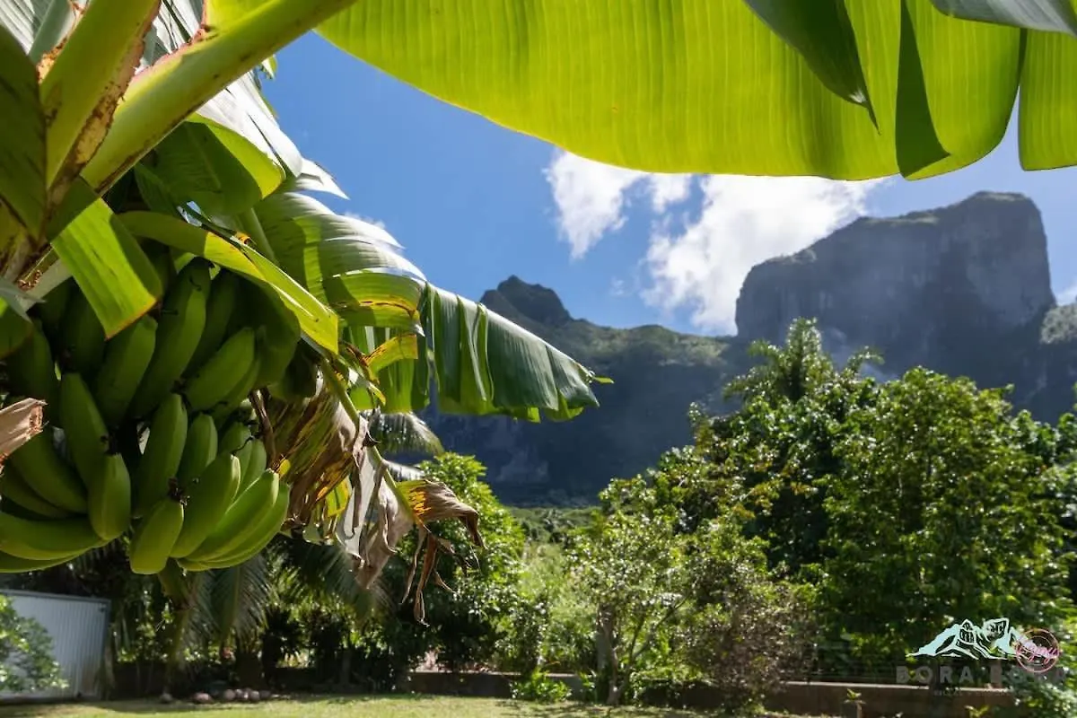 Vila Iihi House Bora Bora Prázdninový dům